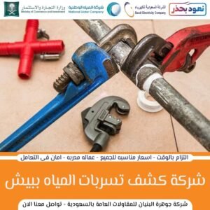 افضل شركة كشف تسربات ببيش